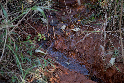 Img-1