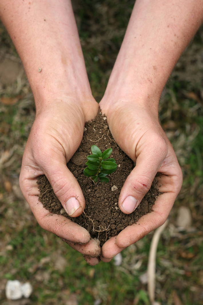 handful-of-dirt-4-1400898