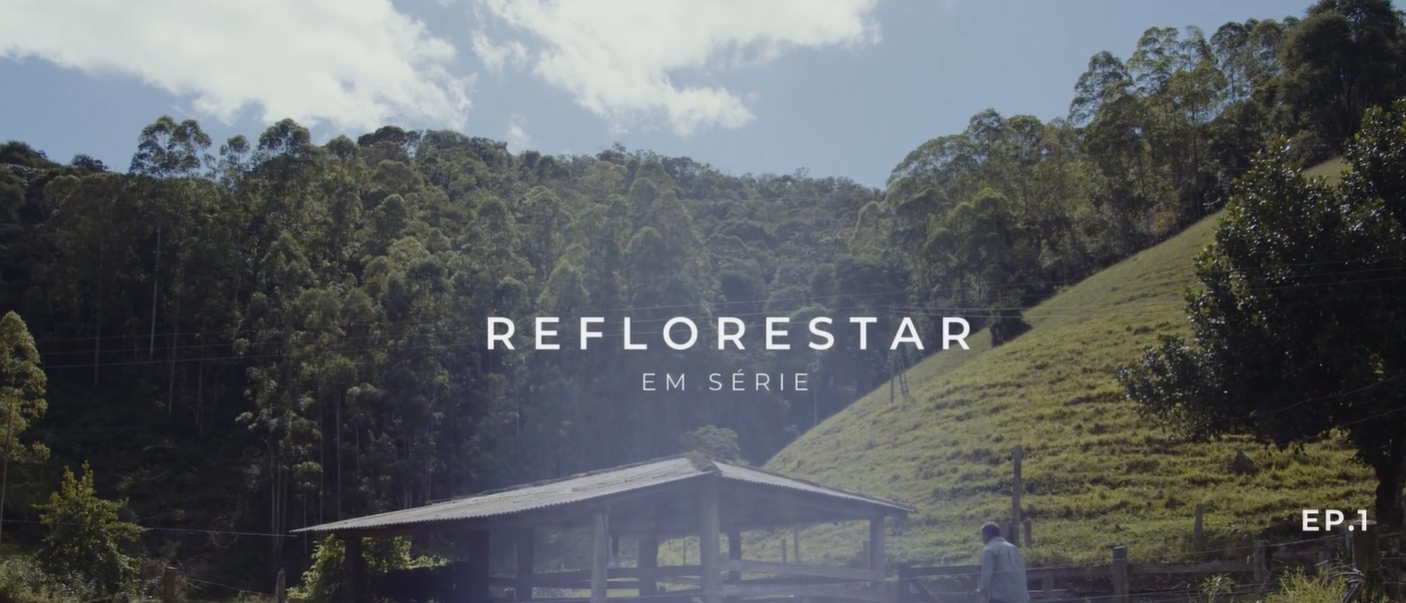 tela reflorestar