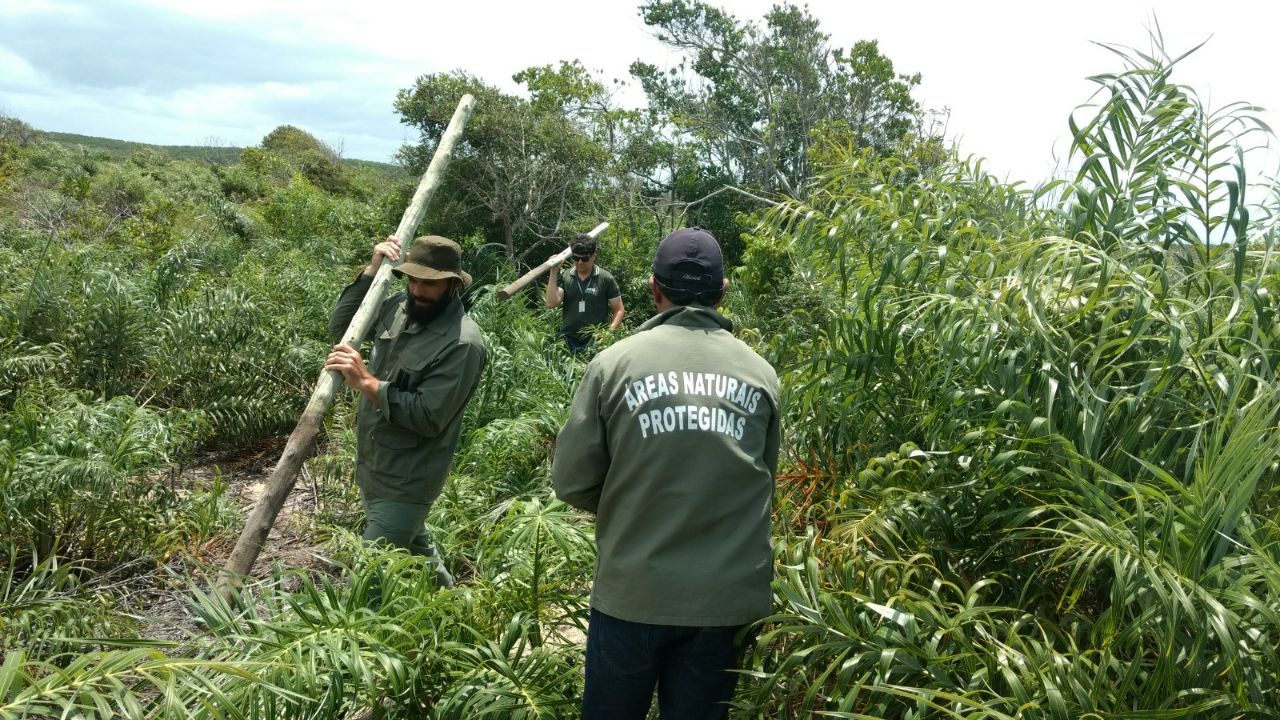 Retirada de cerca em área com lotes ilegais 2