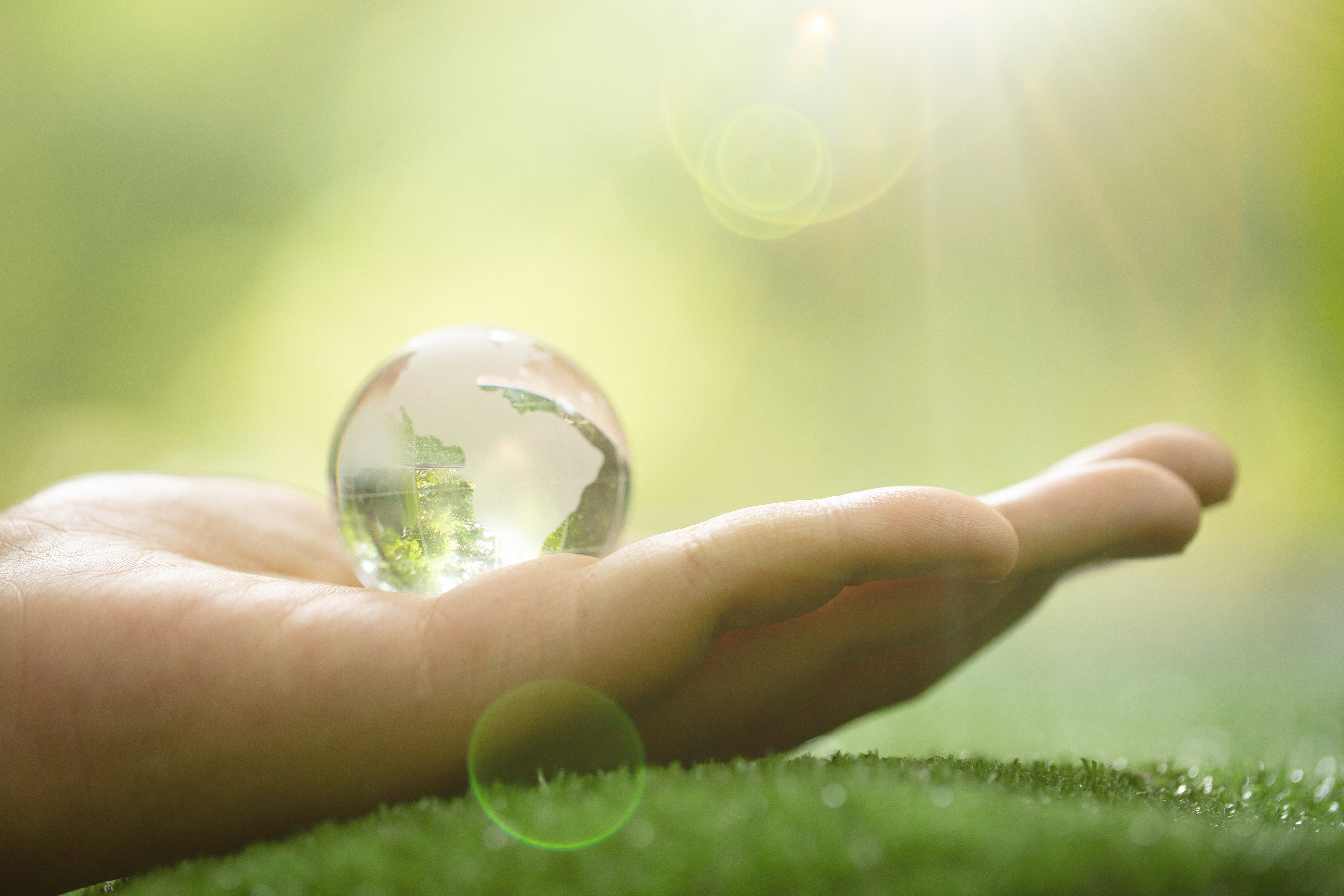 perto-do-planeta-verde-em-suas-maos-salve-a-terra