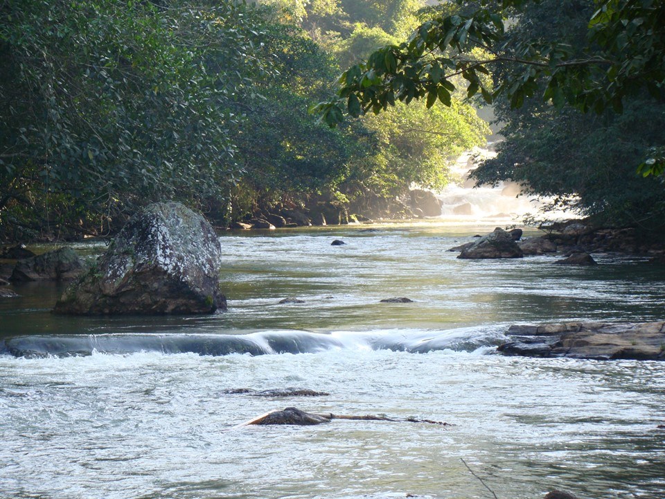baciaju