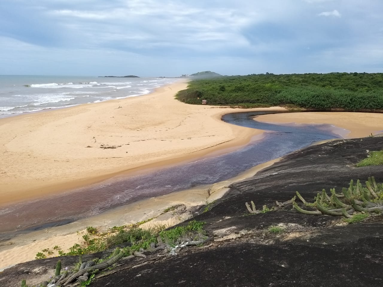 Parque Estadual Paulo Cesar Vinha|||Fotógrafo:Flávia Fernandes/Iema