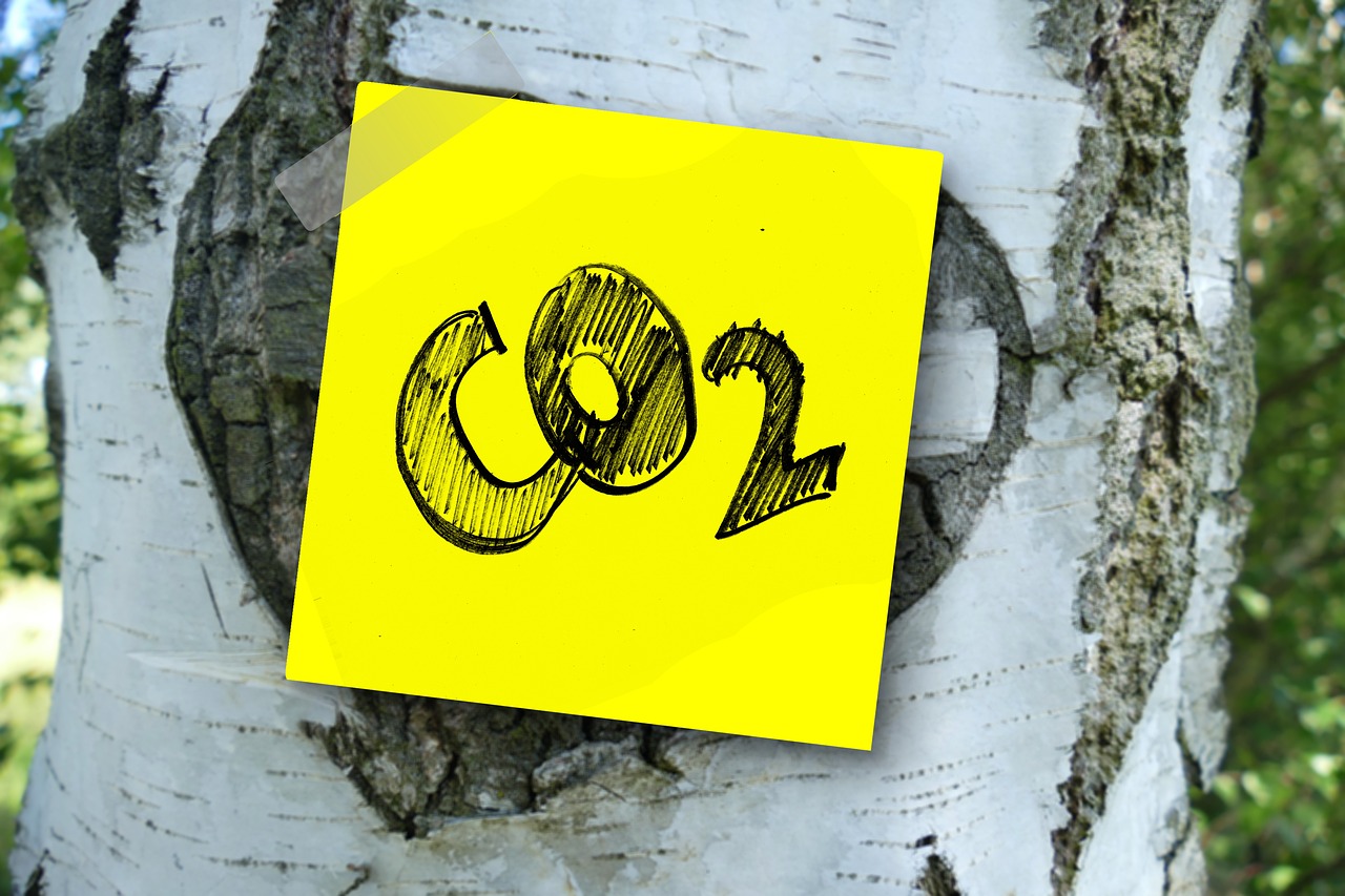 co2-3139230_1280 (1)