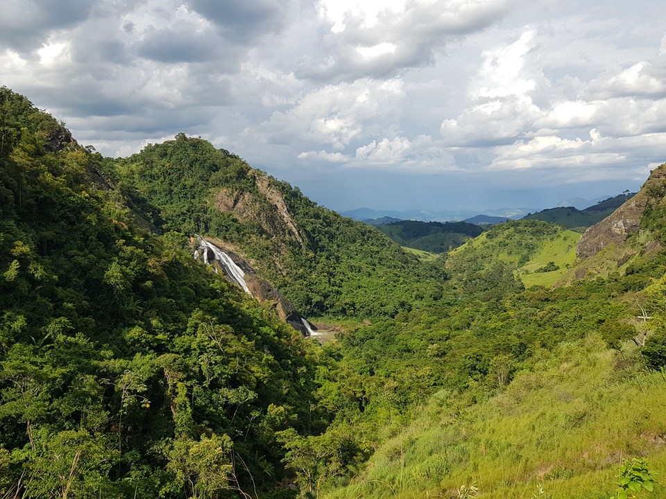 mata_panorâmica|||Fotógrafo:Paulo Sena